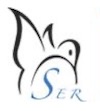 SER SER